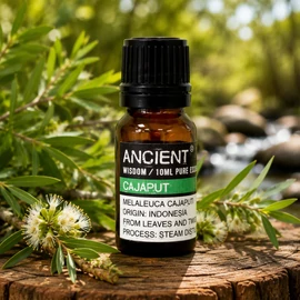 Ancient Wisdom 10 ml Cajaput (Melaleuca Cajuputi ) Illóolaj
