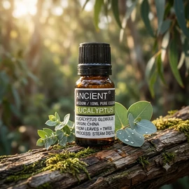 Ancient Wisdom 10 ml Eukaliptusz (Eucalyptus Globulus ) Illóolaj
