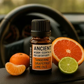 10ml Aromaterápiás Olaj Autós Aroma Diffúzorba - Long Drive