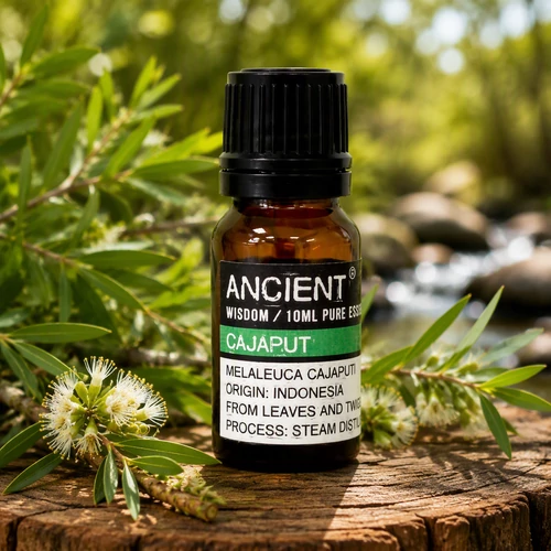 Ancient Wisdom 10 ml Cajaput (Melaleuca Cajuputi ) Illóolaj