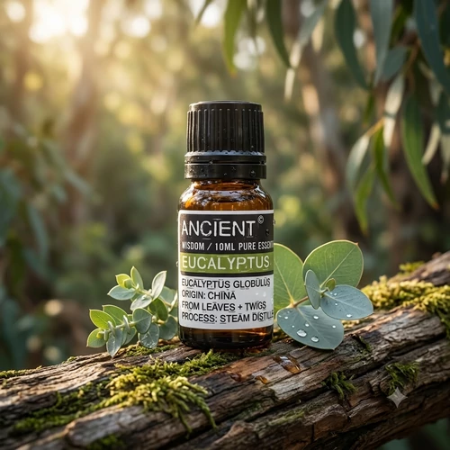 Ancient Wisdom 10 ml Eukaliptusz (Eucalyptus Globulus ) Illóolaj